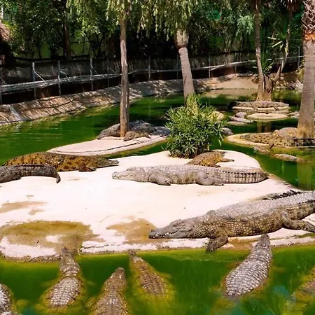 La Carihuela Ethnic *