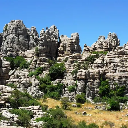 Апартаменты La Carihuela Ethnic