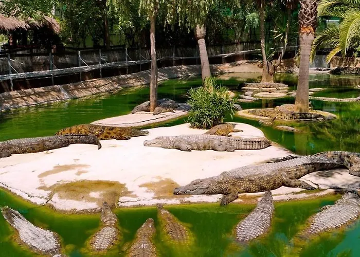 La Carihuela Ethnic *